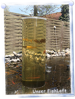 Fishloft Der Aussichtsturm für Ihre Fische! Verkauf und Bearbeitung